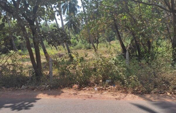 WhatsApp Image 2026-03-20 at 11.32.09 AM