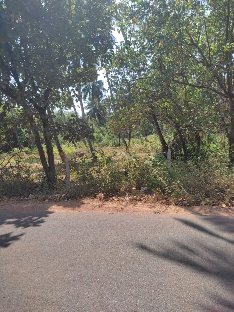 WhatsApp Image 2026-03-20 at 11.32.09 AM