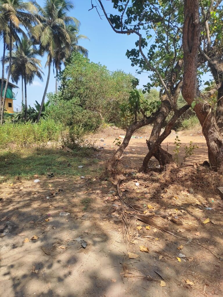 WhatsApp Image 2026-03-20 at 12.02.14 PM