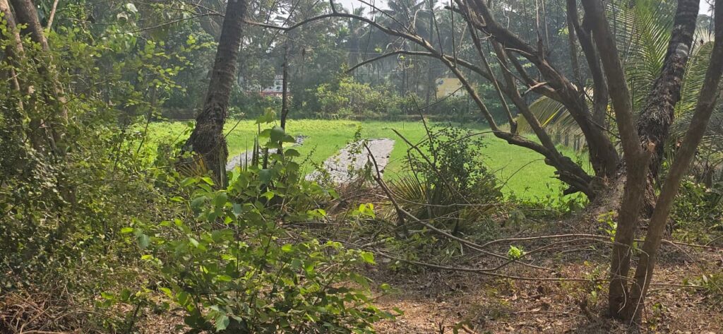 WhatsApp Image 2026-03-26 at 6.51.44 AM (1)