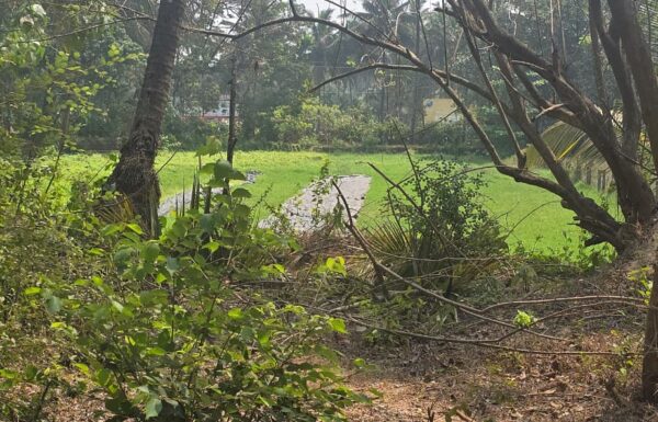 WhatsApp Image 2026-03-26 at 6.51.44 AM (1)