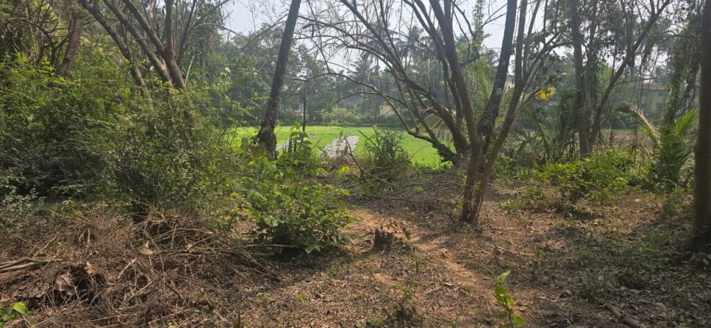 WhatsApp Image 2026-03-26 at 6.51.44 AM