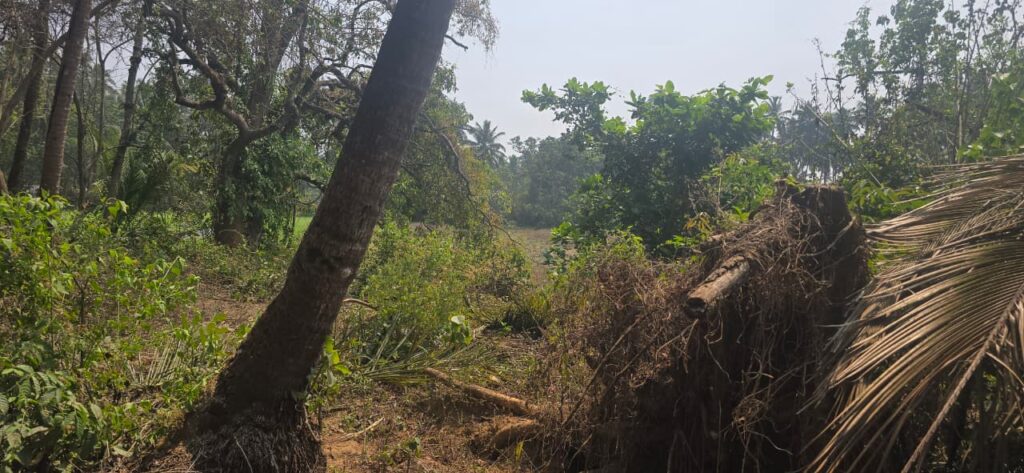 WhatsApp Image 2026-03-26 at 6.51.45 AM (1)