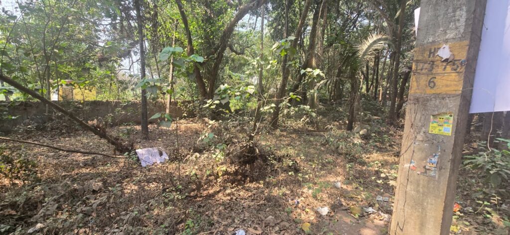 WhatsApp Image 2026-03-26 at 6.51.45 AM (2)