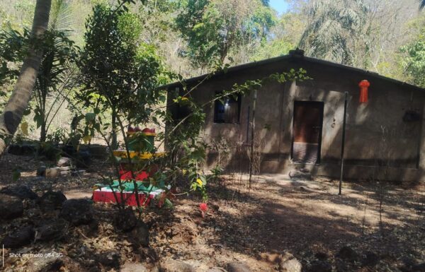 WhatsApp Image 2026-04-06 at 3.47.01 PM (1)