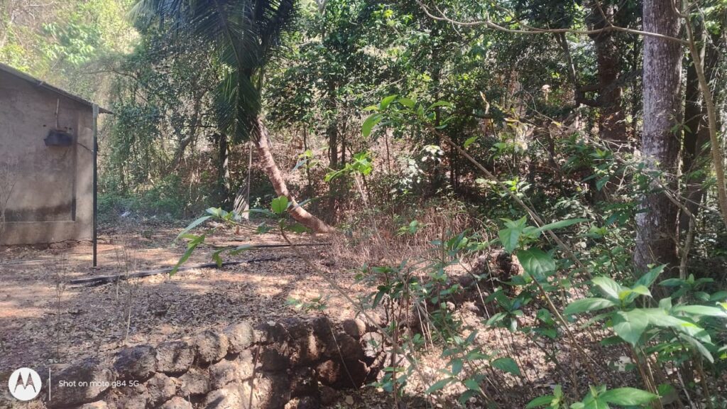 WhatsApp Image 2026-04-06 at 3.47.01 PM