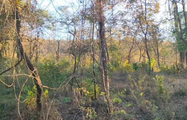 WhatsApp Image 2026-04-07 at 2.42.06 PM (3)