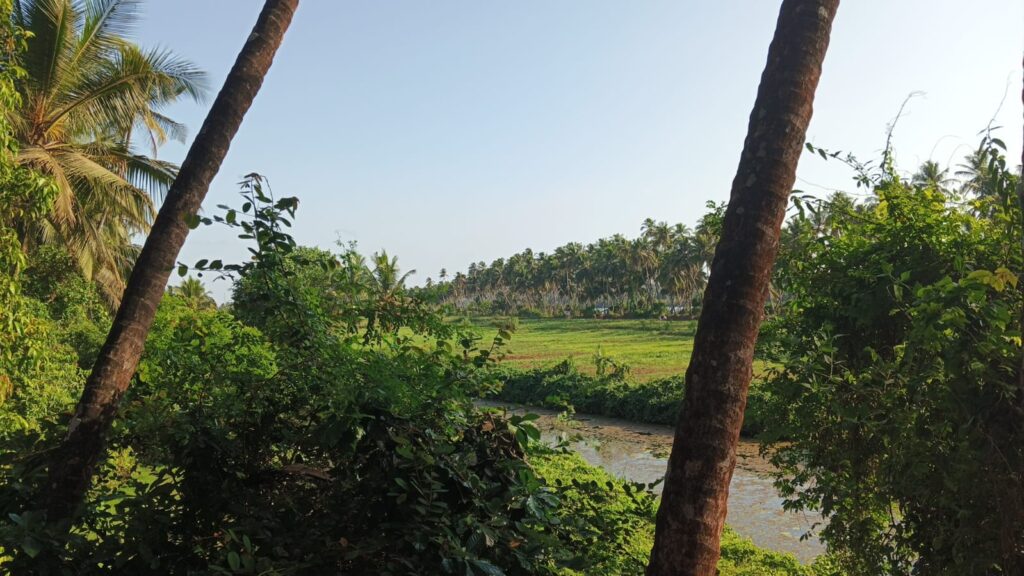 WhatsApp Image 2026-04-07 at 6.30.18 PM