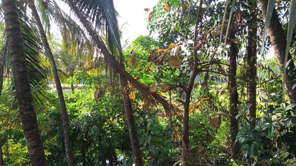 WhatsApp Image 2026-04-07 at 6.30.19 PM (1)