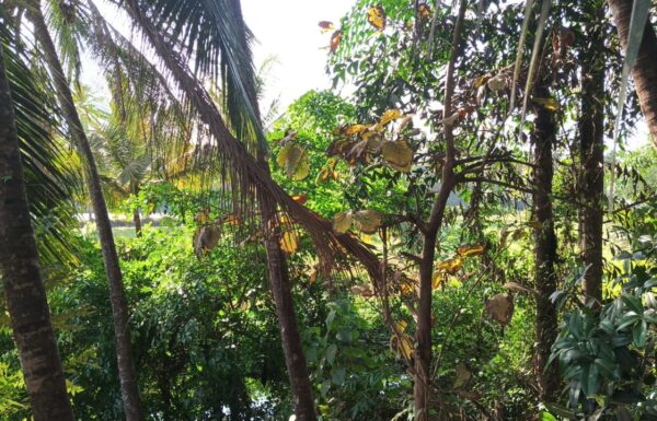 WhatsApp Image 2026-04-07 at 6.30.19 PM (1)