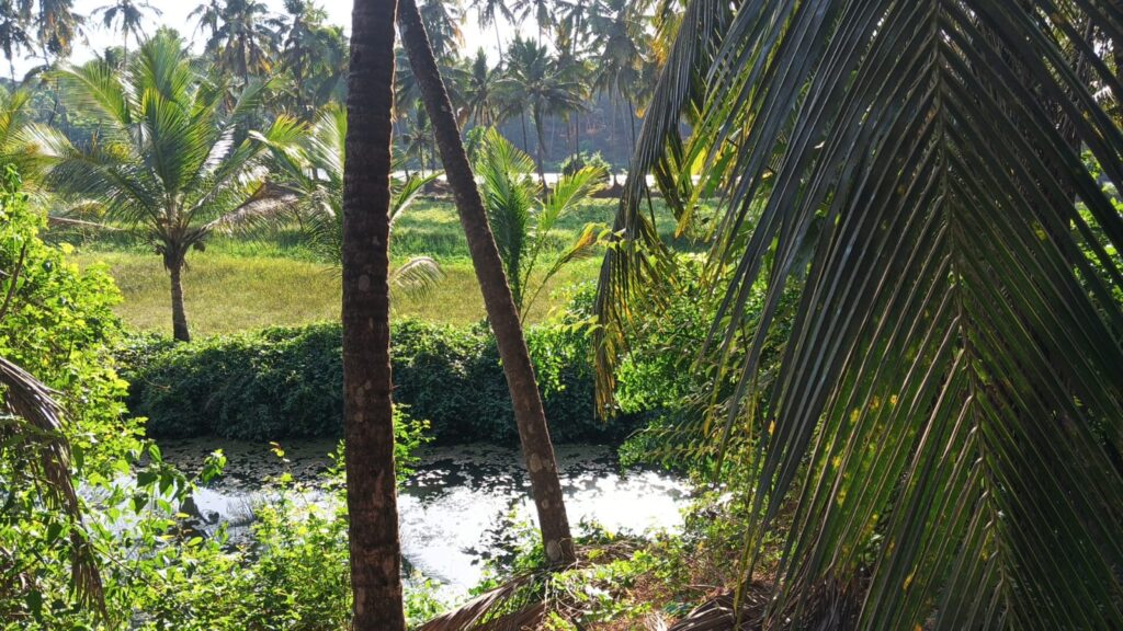 WhatsApp Image 2026-04-07 at 6.30.19 PM