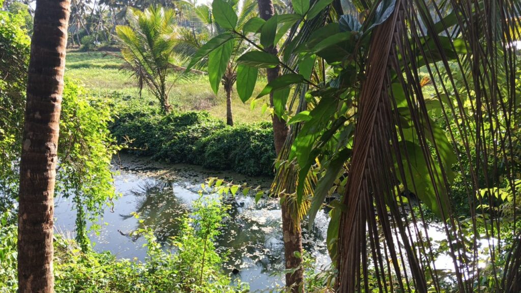 WhatsApp Image 2026-04-07 at 6.30.19 PM (2)