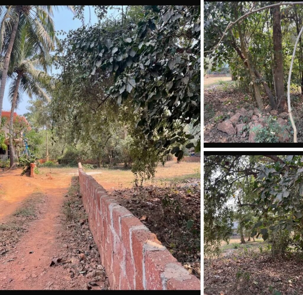 WhatsApp Image 2026-05-18 at 3.15.12 PM