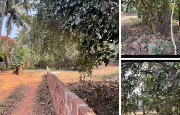 WhatsApp Image 2026-05-18 at 3.15.12 PM