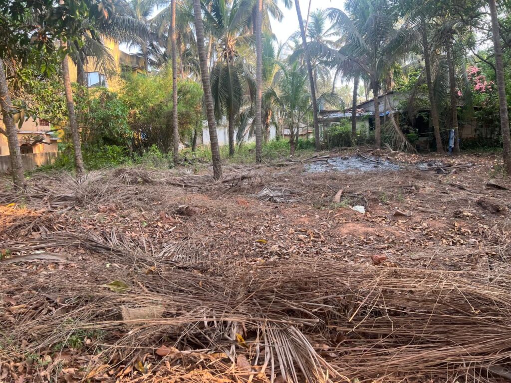 WhatsApp Image 2026-10-15 at 5.58.19 PM (1)