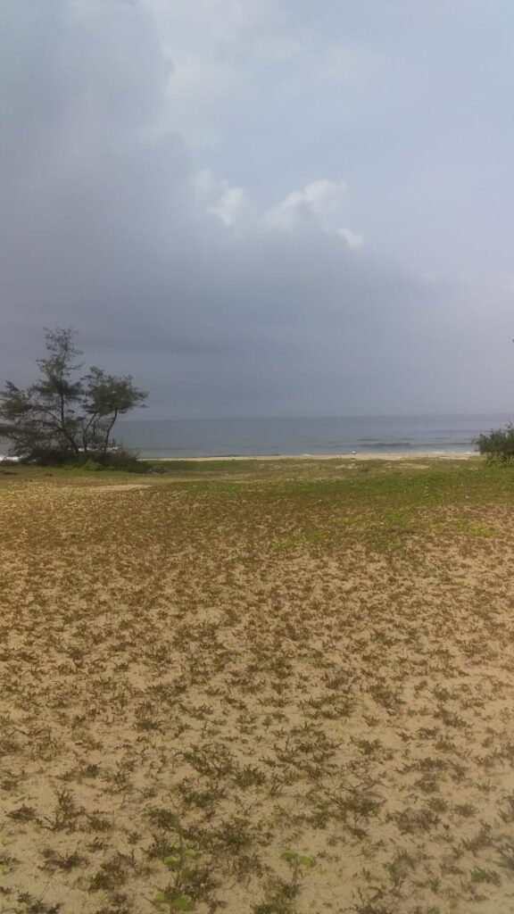 plot for sale